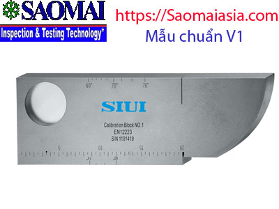 Mẫu chuẩn V1